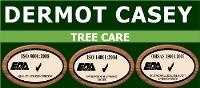 Dermot Casey Tree Care image 1